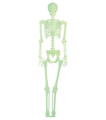 Lifesize Glow in the Dark Pose N Stay Skeleton