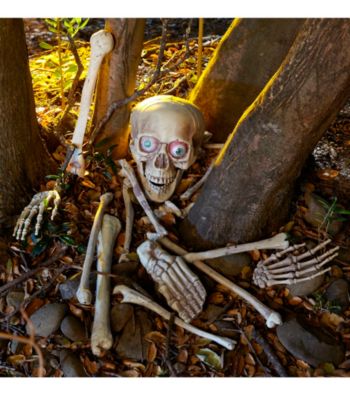 Bag of Bones With Light-Up Moaning Skull Animated Prop