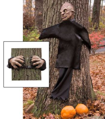 Peeping Tree Hugger