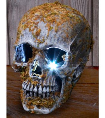 Large Skull Strobe - Moss