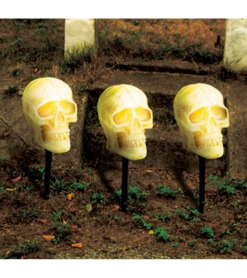 Skull Pathway Lights
