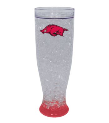 TNT Media Group University Of Arkansas Razorbacks Ice Pilsner Glass