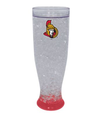TNT Media Group Ottawa Senators Ice Pilsner Glass