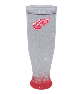 TNT Media Group Detroit Redwings Ice Pilsner Glass
