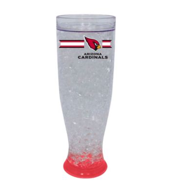 TNT Media Group Arizona Cardinals Ice Pilsner Glass