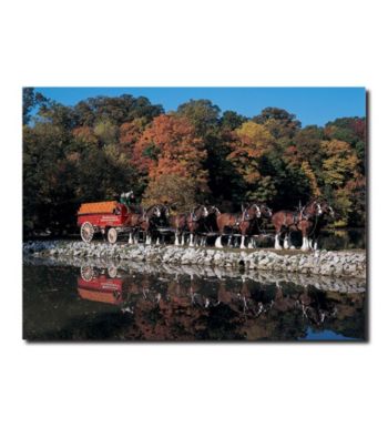 Clydesdales in Fall by Stone Pond