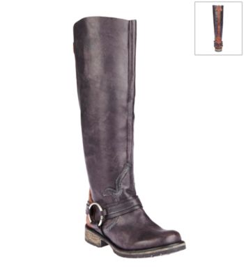 Homepage  shoes  steve madden judgement tall harness boot black