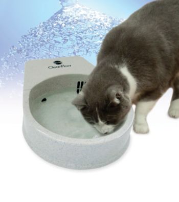 K&H Pet Products Grey Cat Clean Flow