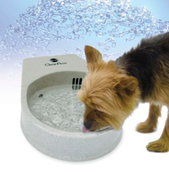 K&H Pet Products Grey Pet Clean Flow