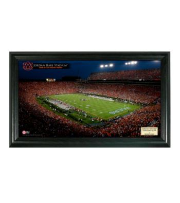 Auburn University Stadium Gridiron Photo by Highland Mint