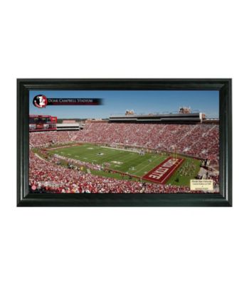 Florida State University Stadium Gridiron Photo by Highland Mint