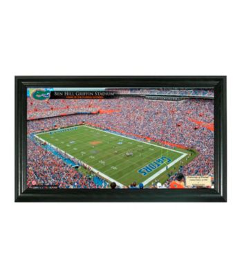 University of Florida Stadium Gridiron Photo by Highland Mint
