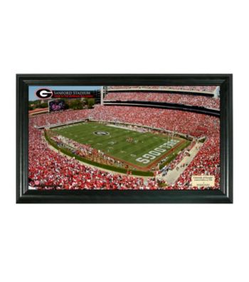 University of Georgia Stadium Gridiron Photo by Highland Mint