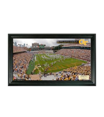 Georgia Tech Stadium Gridiron Photo by Highland Mint