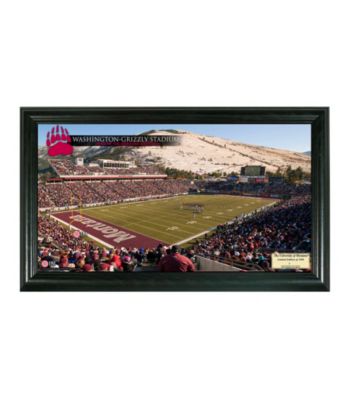 University of Montana Stadium Gridiron Photo by Highland Mint