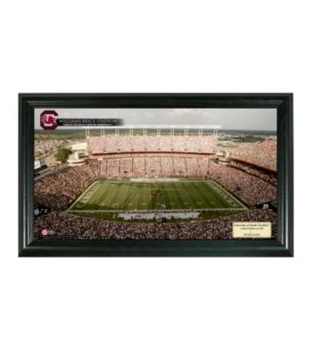 University of South Carolina Stadium Gridiron Photo by Highland Mint