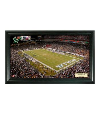 University of South Florida Stadium Gridiron Photo by Highland Mint