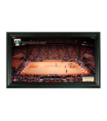 University of Tennessee (Ladies) Stadium Photo by Highland Mint