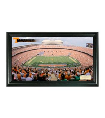 University of Tennessee (Football) Stadium Gridiron Photo by Highland Mint