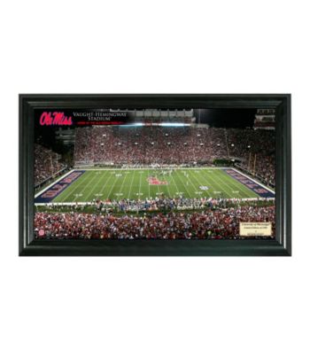 University of Mississippi Stadium Gridiron Photo by Highland Mint