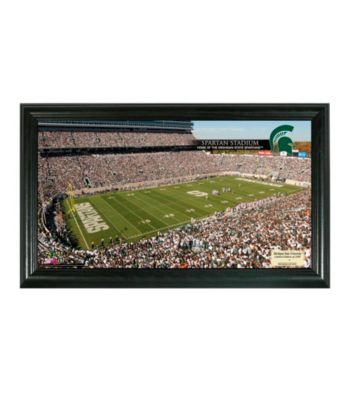 Michigan State University Stadium Gridiron Photo by Highland Mint