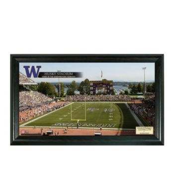 University of Washington Stadium Gridiron Pano by Highland Mint