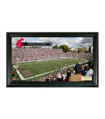 Washington State University Stadium Gridiron Pano by Highland Mint