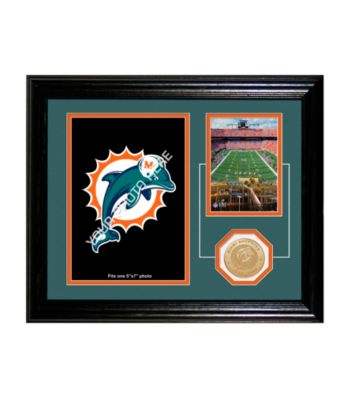 Miami Dolphins 
