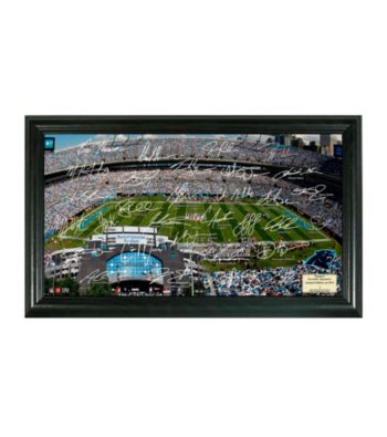 Carolina Panthers Signature Gridiron Collection by Highland Mint