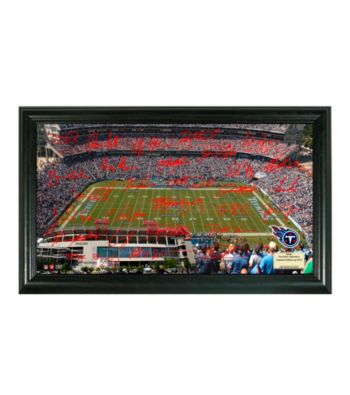 Tennessee Titans Signature Gridiron Collection by Highland Mint