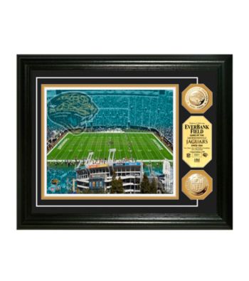 EverBank Field Gold Coin Photomint by Highland Mint