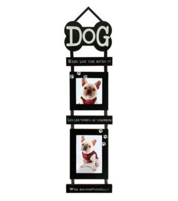Malden 2-Opening Dog Mobile