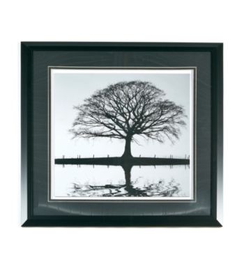 Star Creations Shimmering Oak Wall Art