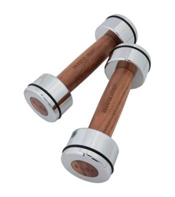 The Sharper Image® Pair of 10-lb. Dumbbells