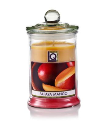 LivingQuarters 18-oz. Papaya Mango Jar Candle