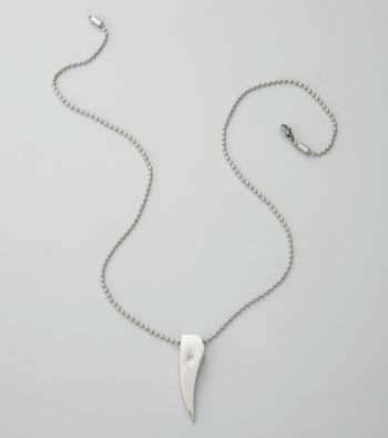 Stainless Steel Tiger Claw Necklace
