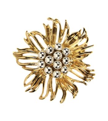 Napier® Boxed Silver/Gold Brooch Pin