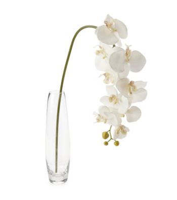 LivingQuarters White Orchid Flower Stem