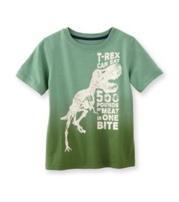 Ruff Hewn Boys' 2T-7 Green Ivy Short Sleeve Dino Graphic Tee