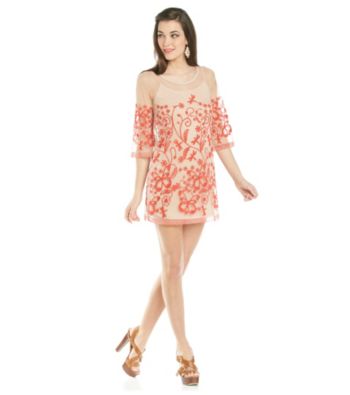 Lovemarks Sheer Embroidered Dress