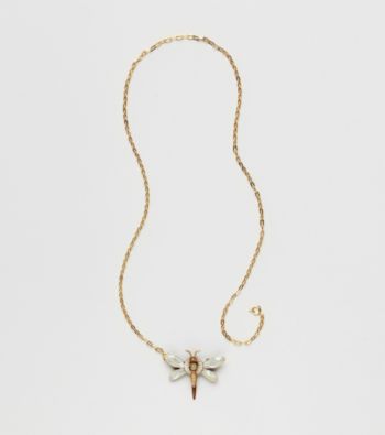 Silver Forest® Dragonfly Necklace and Pin