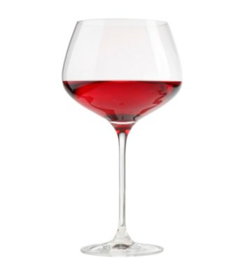 Oneida® Compose Set of 2 Balloon Wine Glasses