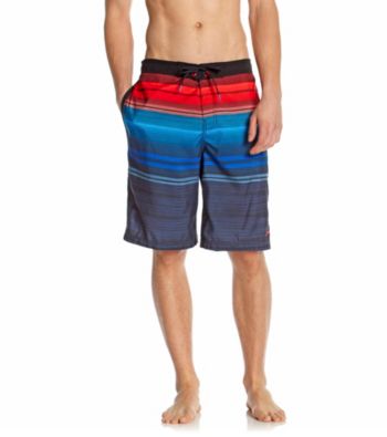 Speedo® Men's Blue Aster Horizon Ombre E-Board Shorts
