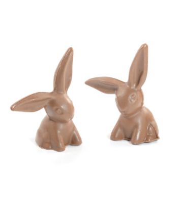 Hammond's Candies® Set of 2 Solid Large Chocolate Bunnies