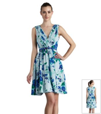 Muse Printed Floral Fit And Flare Dress