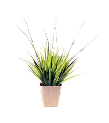 Vickerman Two-Tone Grass in Brushed Silver Container