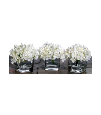 Vickerman Set of 3 White Hydrangea's in Glass Cubes with Acrylic Water