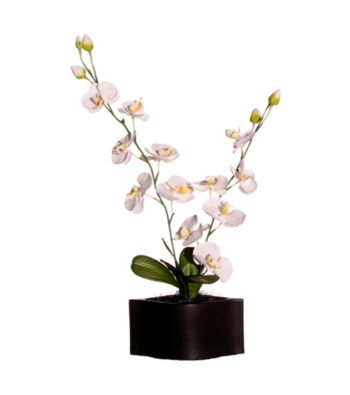 Vickerman Silk Phalaenopsis Orchids in Matte Black Ceramic Container