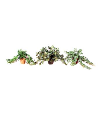 Vickerman Set of 3 Assorted Ivy Species in 4