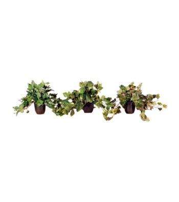Vickerman Set of 3 Assorted Green in a Bio-Pot